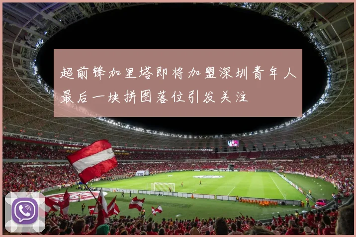 超前锋加里塔即将加盟深圳青年人最后一块拼图落位引发关注