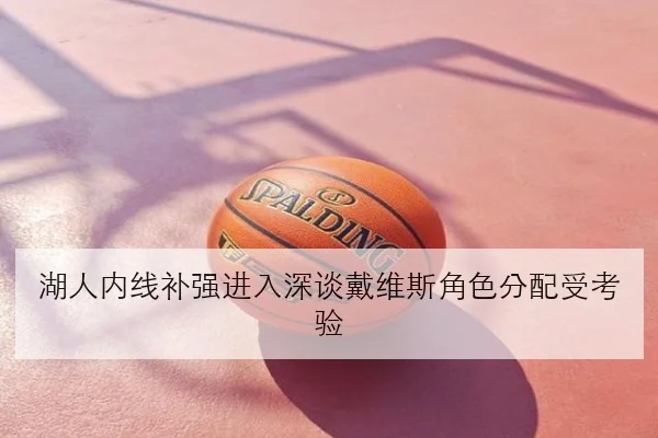湖人内线补强进入深谈戴维斯角色分配受考验